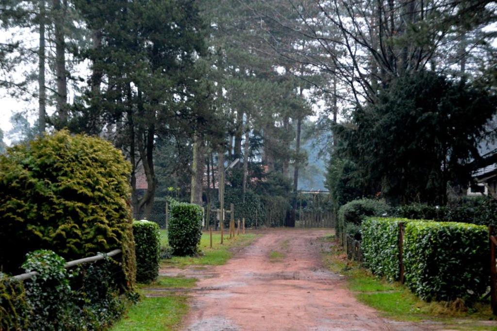 Luxe Vakantiehuis In Het Bos Overbroek المظهر الخارجي الصورة