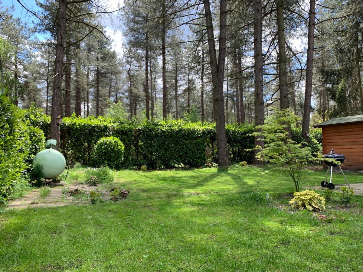 Luxe Vakantiehuis In Het Bos Overbroek المظهر الخارجي الصورة