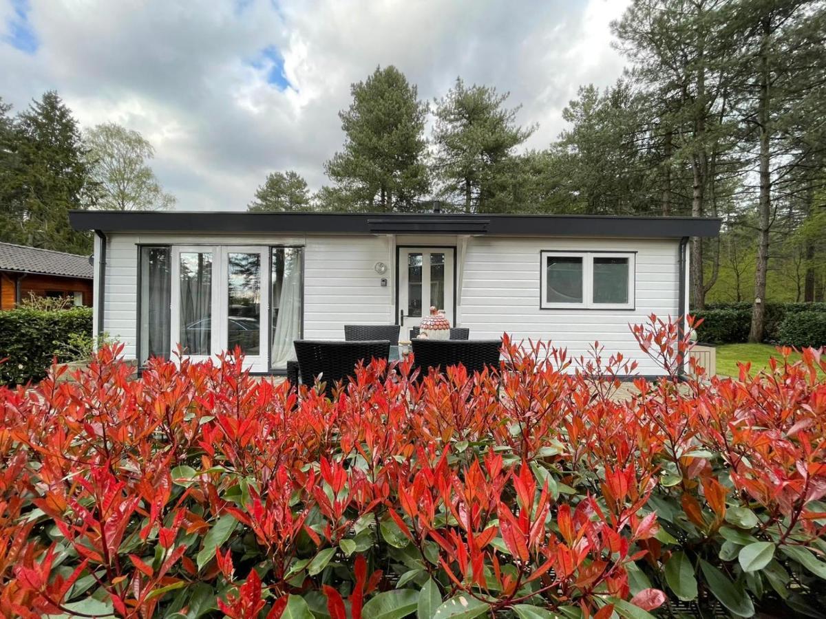 Luxe Vakantiehuis In Het Bos Overbroek المظهر الخارجي الصورة