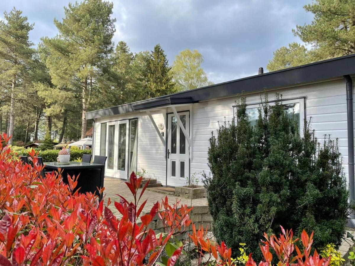 Luxe Vakantiehuis In Het Bos Overbroek المظهر الخارجي الصورة